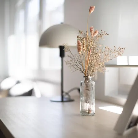 Jovellanos Lejlighed Gijón