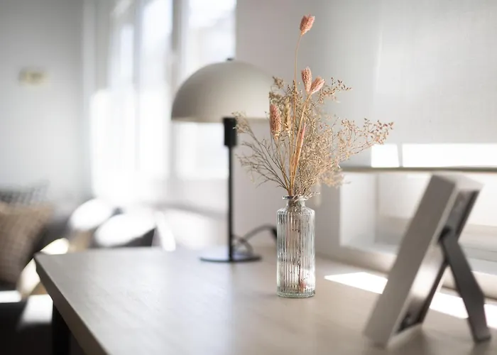 Jovellanos Appartement Gijón